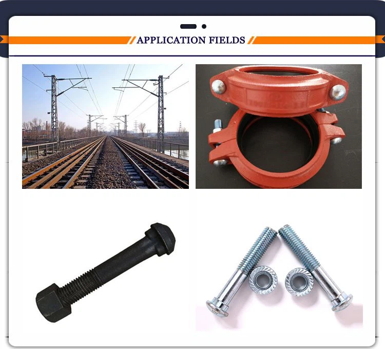 Oval Neck Bolts
